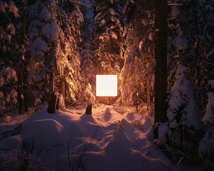 lamp, winter, trees, digital art, artificial lights