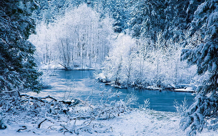 Winter nature scenery, white snow, trees, river