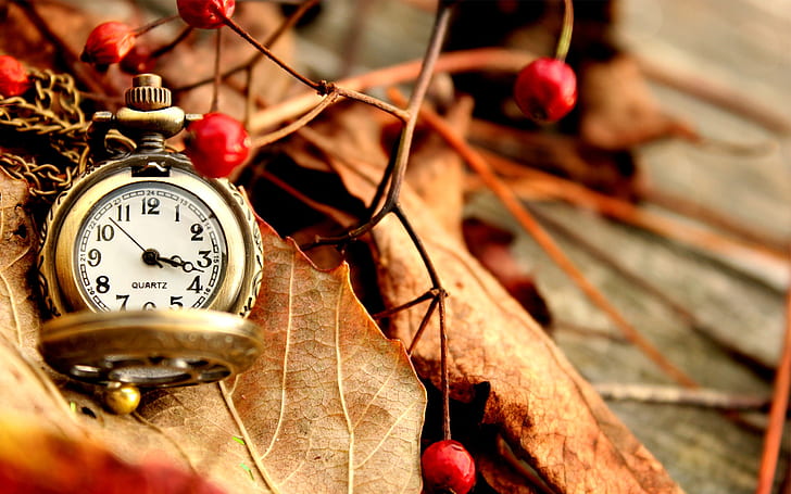 Autumn leaves, pocket watch
