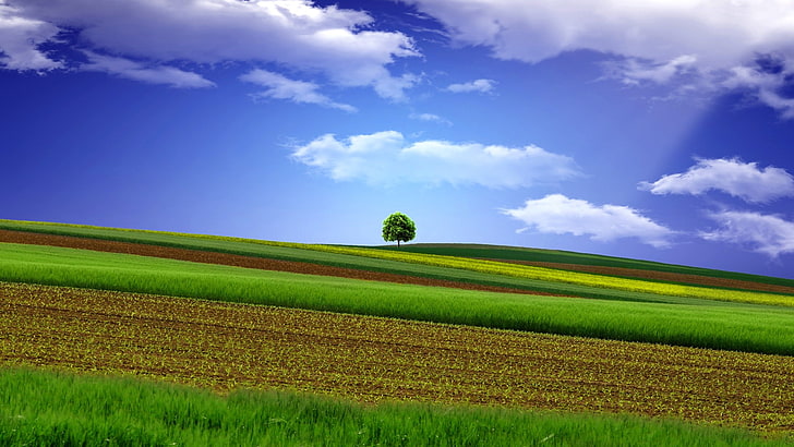 landscape, clouds, field, sky, cloud - sky, agriculture, green color, HD wallpaper