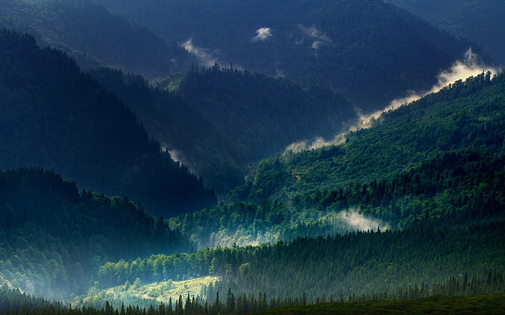 mountain scenery, landscape, nature, Carpathians, mountains, mist, HD wallpaper