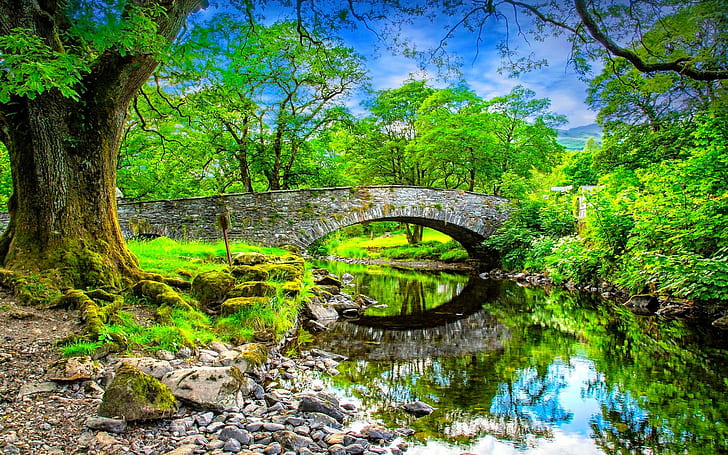 Summer Landscape Stone Most.mala Calm River Stones Trees With Green Leaves Blue Sky Reflection In Water Desktop Wallpaper Hd Resolution 1920×1200, HD wallpaper