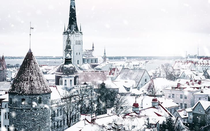 city, white, winter, snow, Tallinn, Estonia, architecture, snowfall, HD wallpaper