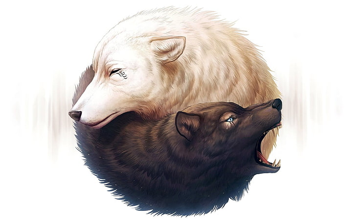 white and black wolves illustration, white hair, black hair, simple background