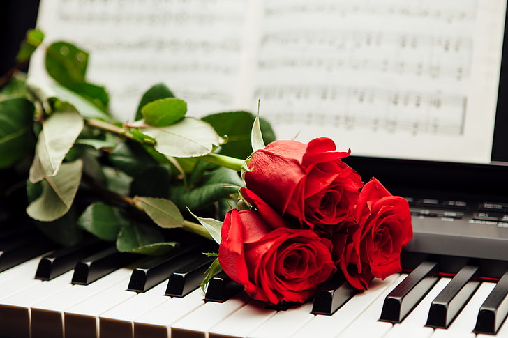 three red rose flowers, notes, roses, keys, piano, music, piano Key, HD wallpaper