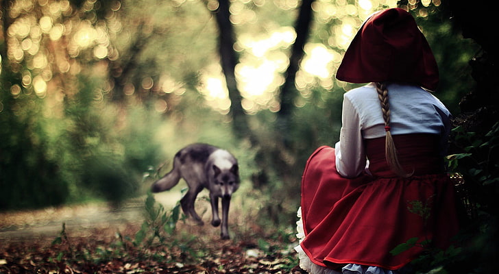 girl's red and white dress, wolf, Little Red Riding Hood, bokeh