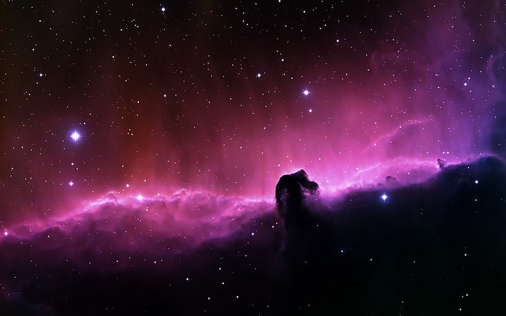 Horsehead Nebula, space, star - space, night, astronomy, sky, HD wallpaper