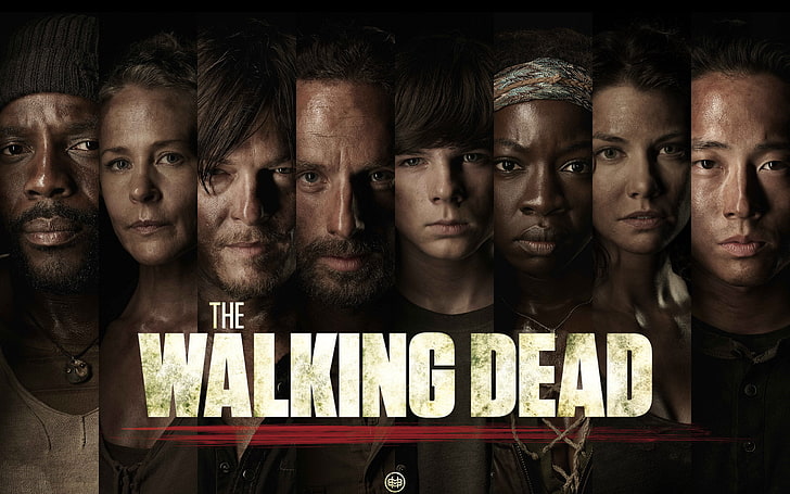 The Walking Dead illustration, Maggie, the series, Carl, Michonne, HD wallpaper