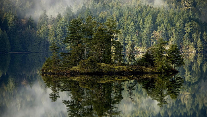 forest, misty, island, pine, lake, reflected, reflection, fog, HD wallpaper