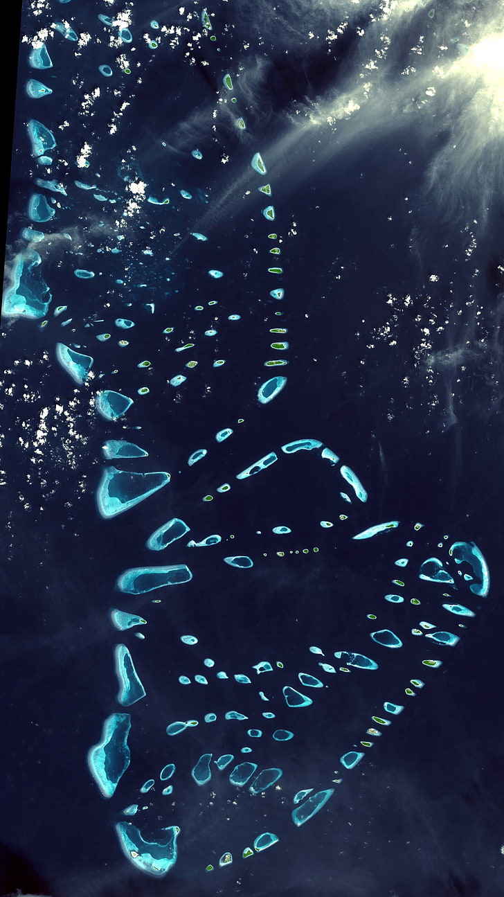 untitled, Maldives, water, blue, underwater, sea, motion, nature, HD wallpaper