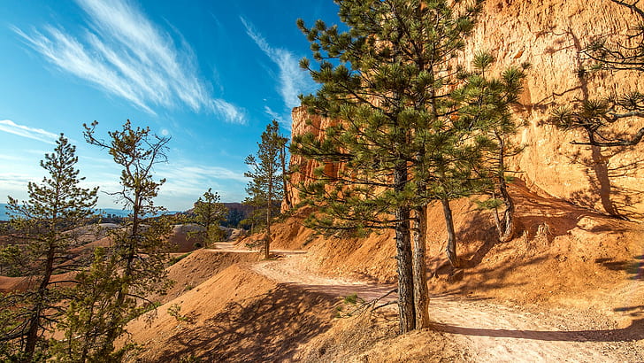 Bryce Canyon National Park, nature, landscape, desert, trees
