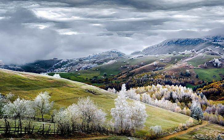 Nature, Landscape, Romania, Fairy Tale, Fall, Road, Mountain, Trees, HD wallpaper