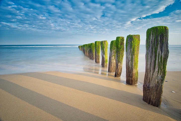 brown wooden pilars, beach, France, atlantic ocean, blue, sky, HD wallpaper
