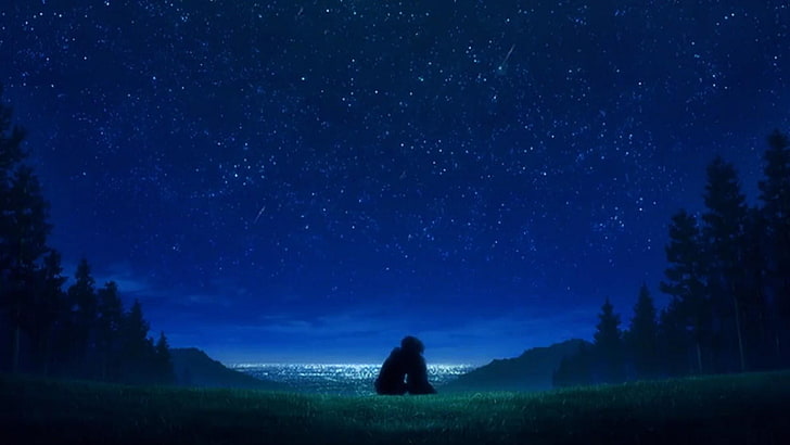 anime art, starry, stars, starry night, night sky, silhouette, HD wallpaper