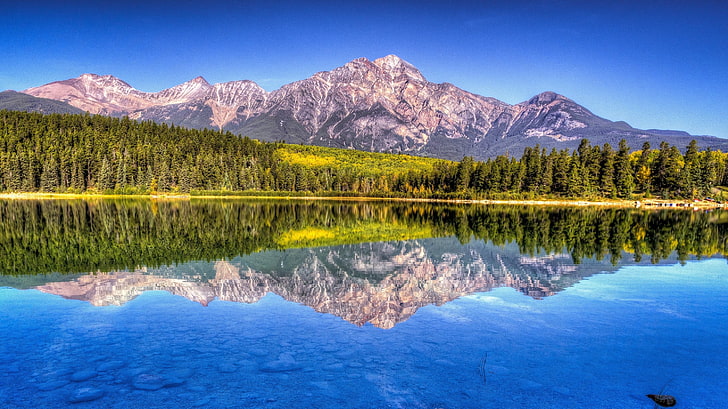 lake and pine trees, mountain, landscape, beautifully, nature, HD wallpaper