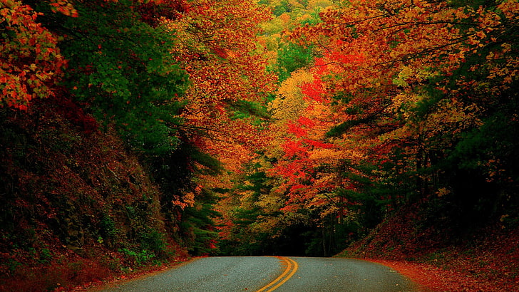 red and green abstract painting, landscape, nature, road, trees, HD wallpaper