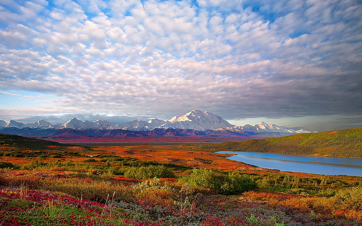USA nature landscape, Denali National Park, HD wallpaper