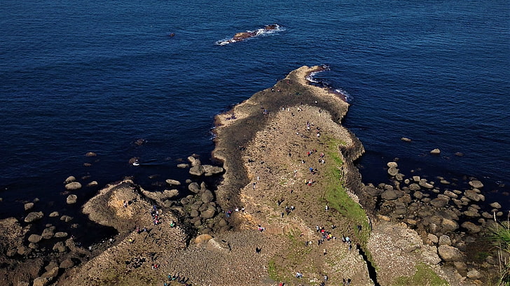 Northern Ireland, Giant's Causeway, coast, coastline, sea, water, HD wallpaper