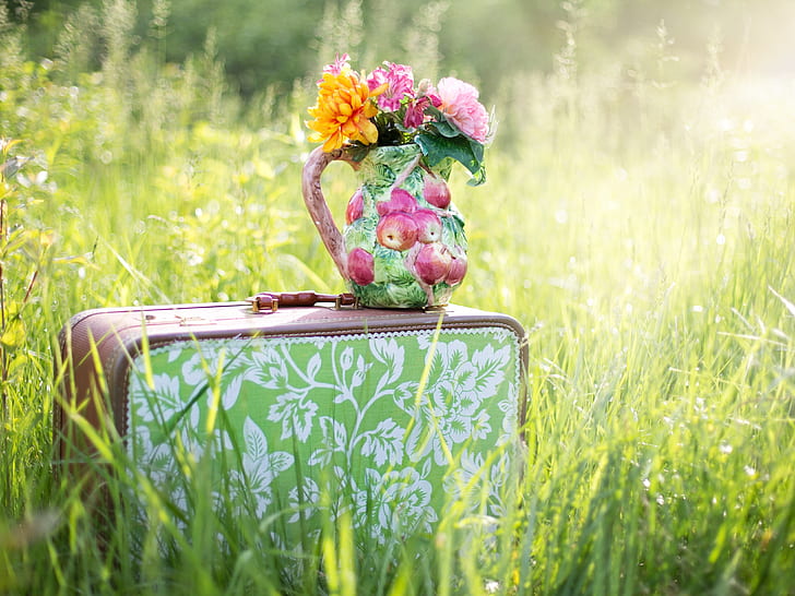 flowers, traveling, summer, countryside, apple, vase, meadow, grass, travel, still life, suitcase, HD wallpaper
