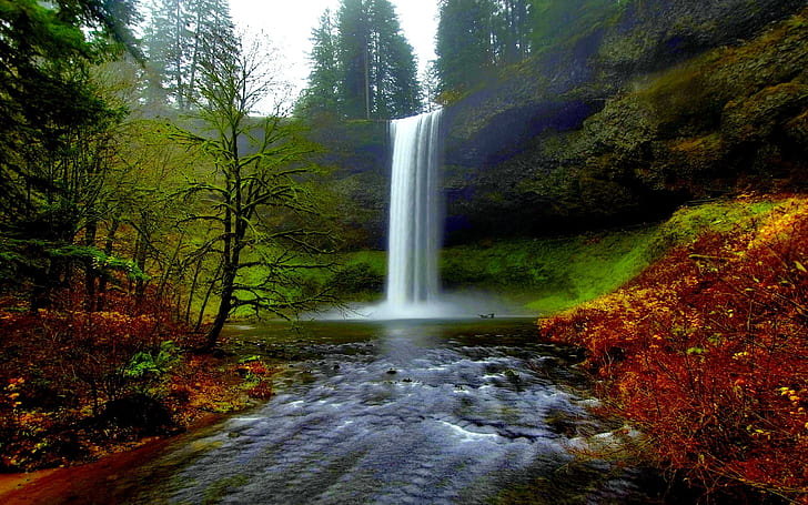 Silver Falls, waterfalls, northwest, oregon, nature and landscapes, HD wallpaper