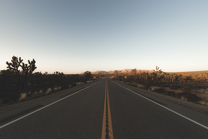 asphalt road, desert, landscape, clear sky, the way forward, direction, HD wallpaper