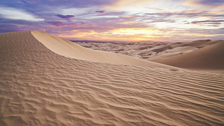 brown sand, landscape, desert, sand dune, sky, cloud - sky, scenics - nature, HD wallpaper