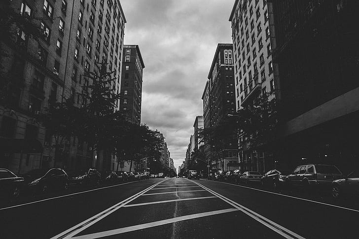 City, Street, Cars, Trees, Black And White, city buildings gray scale photo, HD wallpaper