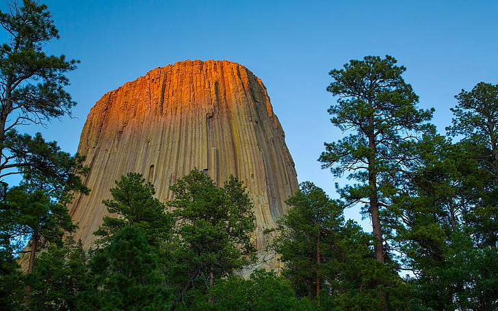 Devils Tower, rock formation, monuments, forest, Wyoming, nature, HD wallpaper