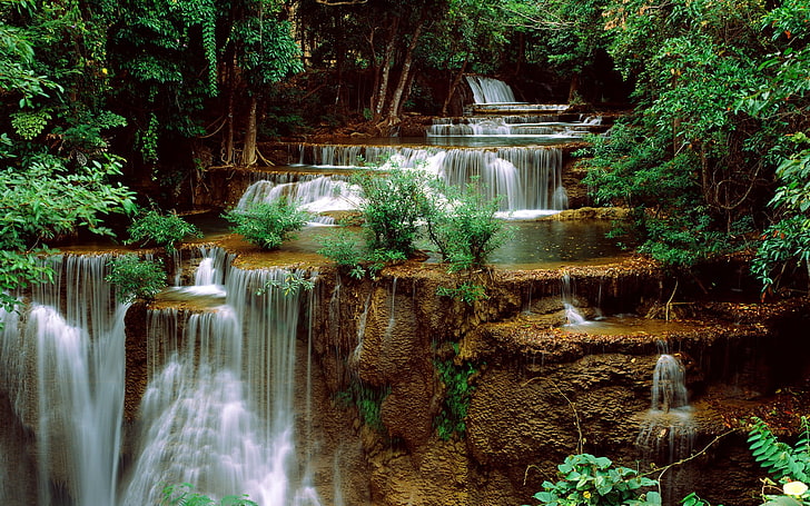 time-lapse photography of waterfalls, nature, trees, creeks, Bushes, HD wallpaper