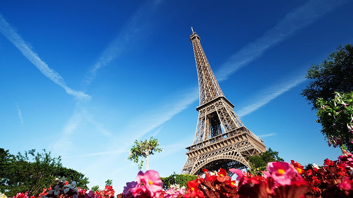 Eiffel Tower, France, building, architecture, flowers, Paris, HD wallpaper