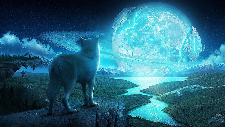 fantasy, fox, canine, water, ice bear, light, sky, sun, space, HD wallpaper