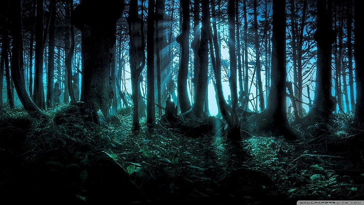 silhouette of rainforest during night time, fantasy art, artwork