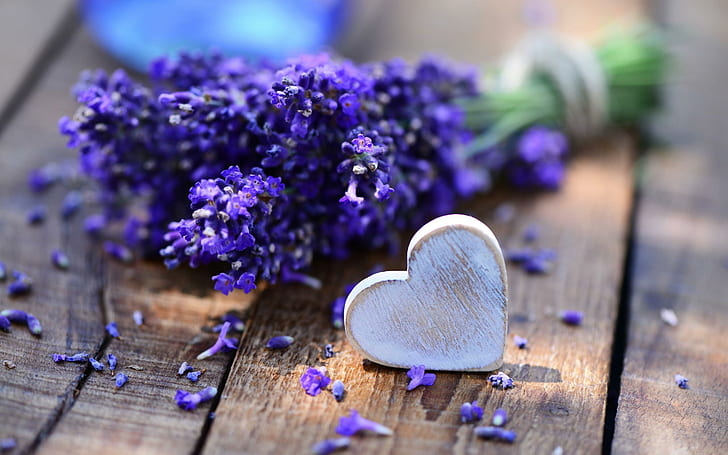 Wood heart on lavender, purple lavender, diverse, love, flower