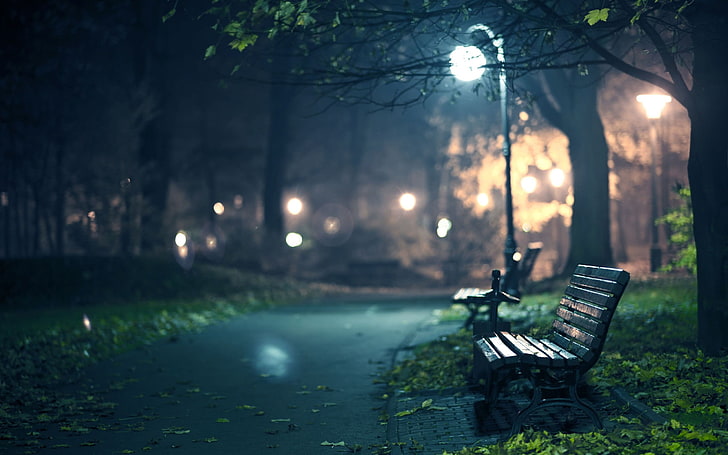 two black benches near tree at night photo, brown wooden slatted bench near tree during nighttime