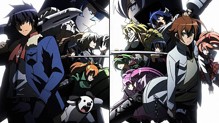 Anime, Akame ga Kill!, Akame (Akame Ga Kill!), Bols (Akame Ga Kill!), HD wallpaper
