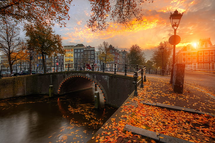 autumn, sunset, bridge, the city, foliage, home, Amsterdam, HD wallpaper