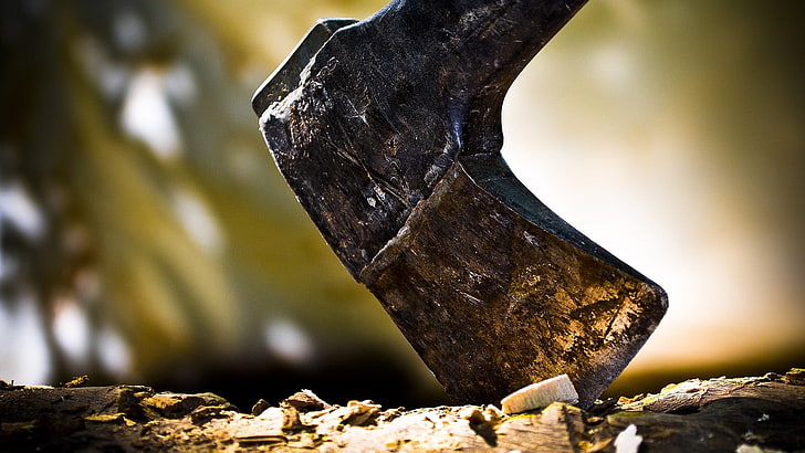 shallow focus photography of gray axe, macro, tree, nature, no people, HD wallpaper