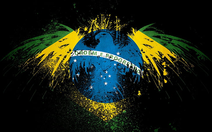 art, arts, brasil, brazil, flag