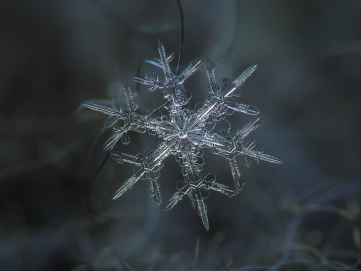 crystal snowflake, christmas, winter, abstract, backgrounds, nature, HD wallpaper