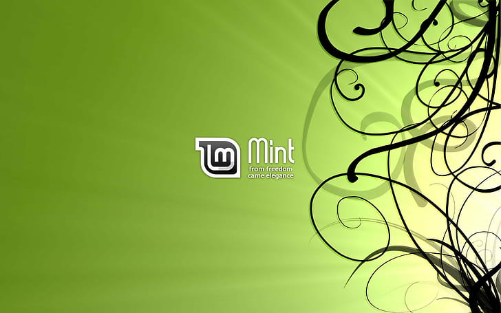 linux gnu linux mint, communication, colored background, green color, HD wallpaper