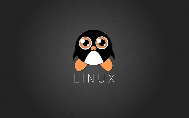 Linux logo, Tux, Penguin, indoors, no people, communication, studio shot, HD wallpaper