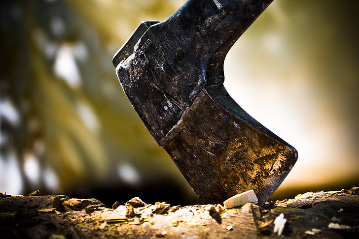 gray metal axe, selective focus photography of wood axe, macro