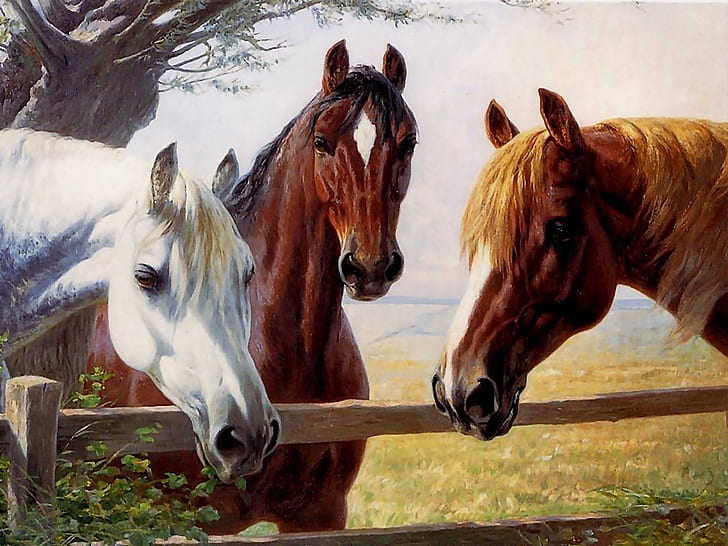3-horses paint Animals hoses nice painting HD, HD wallpaper
