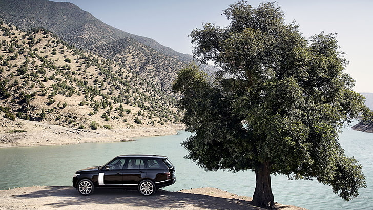 black 5-door hatchback, Range Rover, car, vehicle, trees, mode of transportation