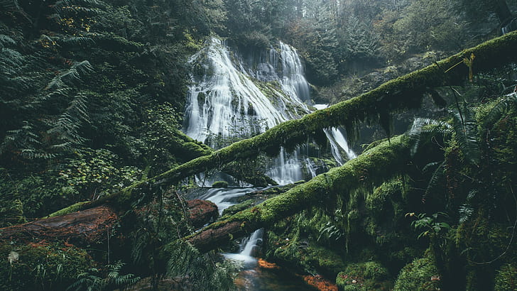 green trees, waterfall, nature, forest, scenics - nature, beauty in nature, HD wallpaper