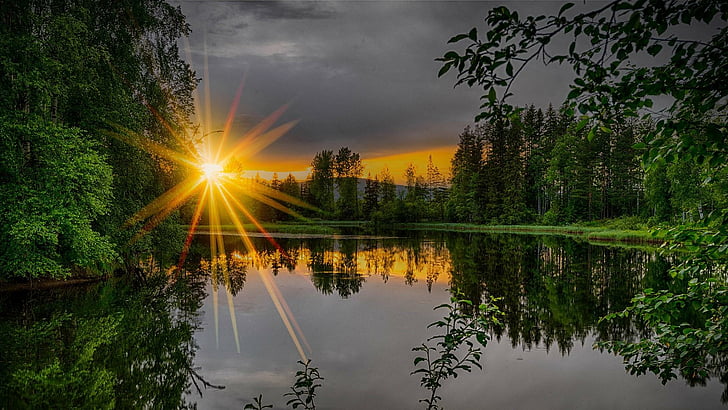 sun, sunray, lake, water, forest, reflected, reflection, nature, HD wallpaper