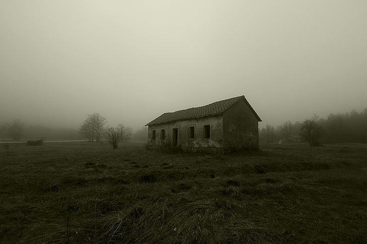 gray house, mist, abandoned, spooky, building, architecture, built structure