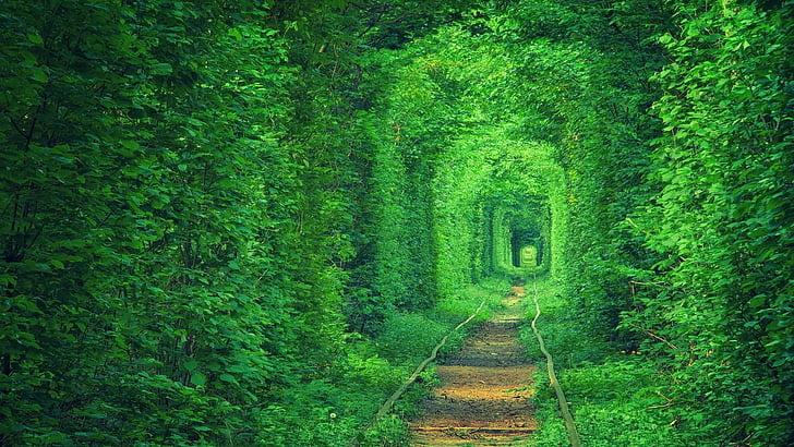 track, europe, tunnel, tunnel view, grass, tunel kokhannya, HD wallpaper
