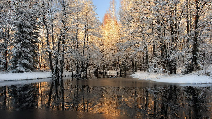background winter scene 2560x1440, HD wallpaper