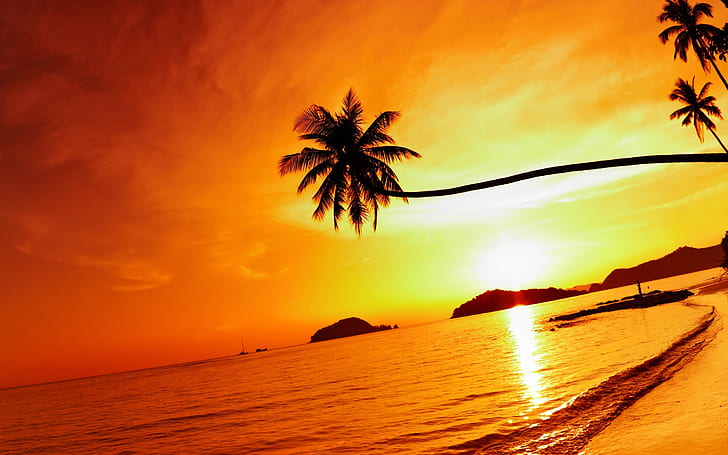Tropical beach sunset, Mak island, Thailand, HD wallpaper